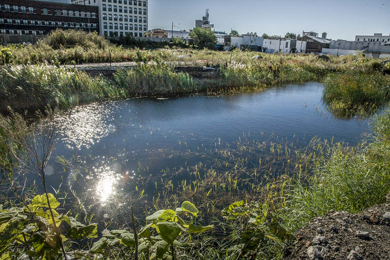 Gowanus_3441.jpg  c2006
Fresh water spring on exact place where a new Whole
Foods Market will be built.
c clayton price, photograher : Gowanus Canal - Brooklyn, NY : Clayton Price Photographer