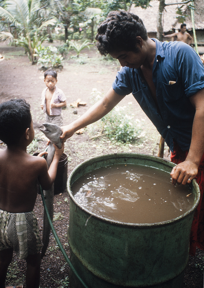 3152-5.jpg
Boy's first experience with eel preparation! : Kapinga Village : Clayton Price Photographer