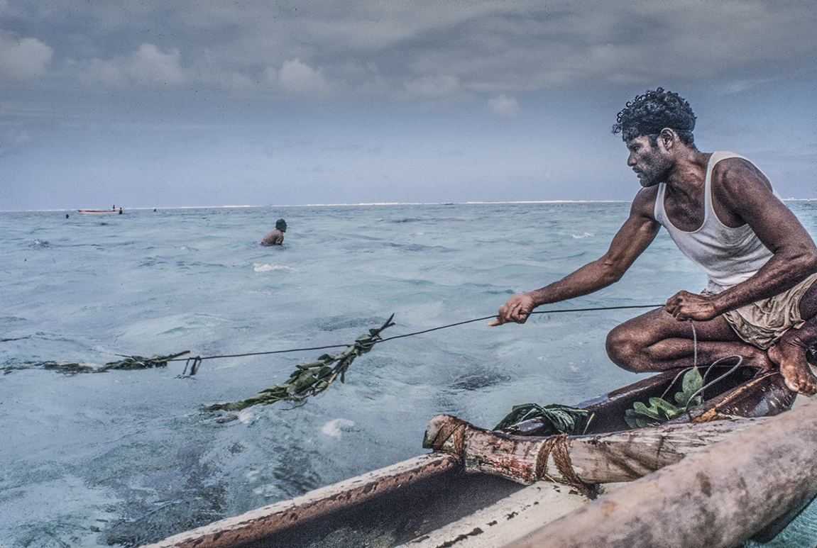 3054-2.jpg : Kapinga Fish Surround : Clayton Price Photographer