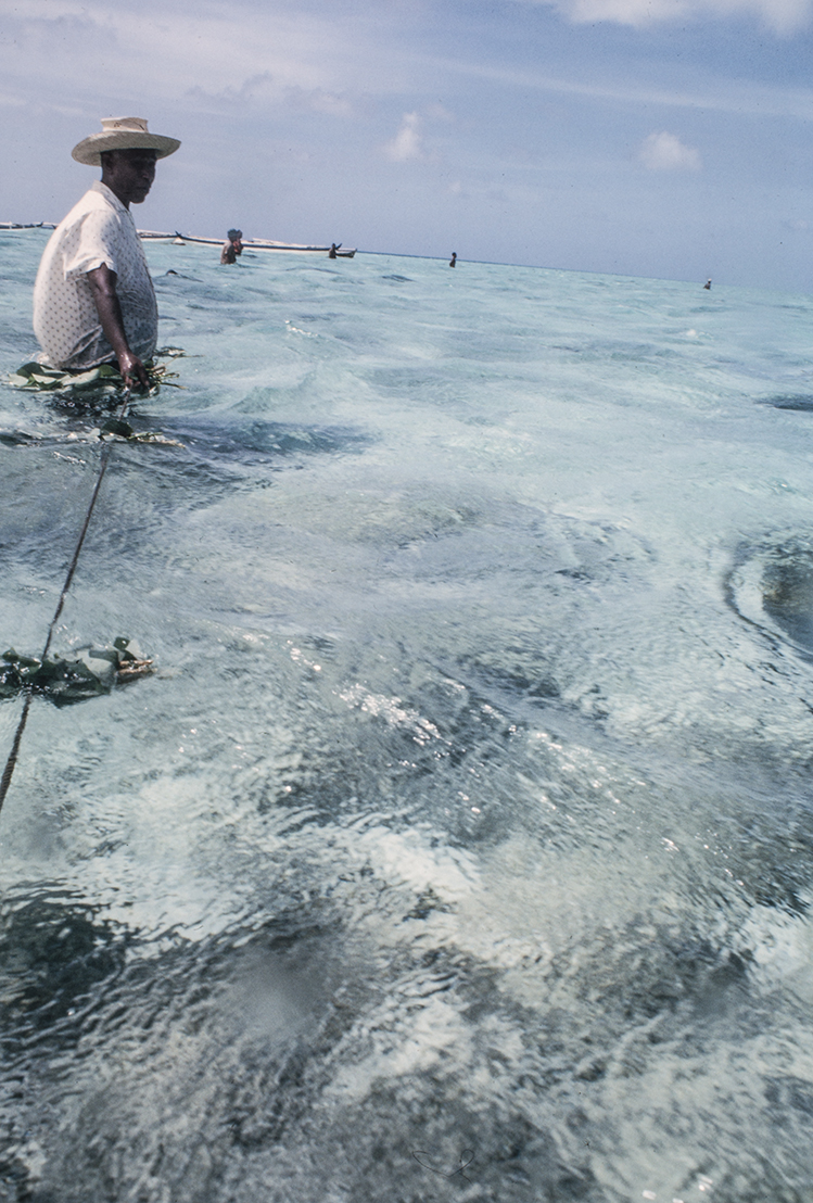 3054-13.jpg
Surround continues : Kapinga Fish Surround : Clayton Price Photographer