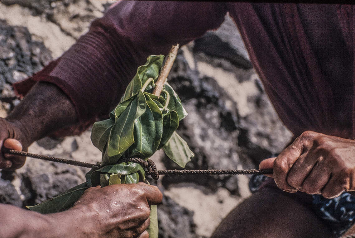 3153-5.jpg
Close-up tying leaves to the long rope : Kapinga Fish Surround : Clayton Price Photographer