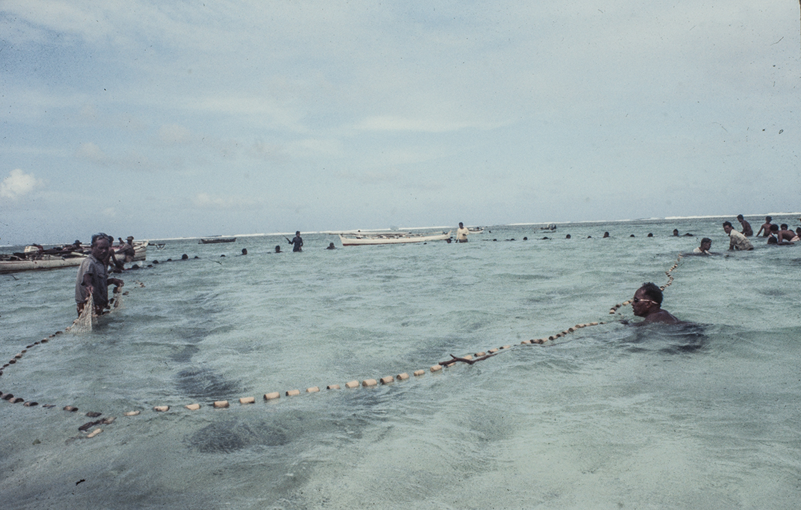 3155-13.jpg
Surround  tightens circle, Net in foreground : Kapinga Fish Surround : Clayton Price Photographer