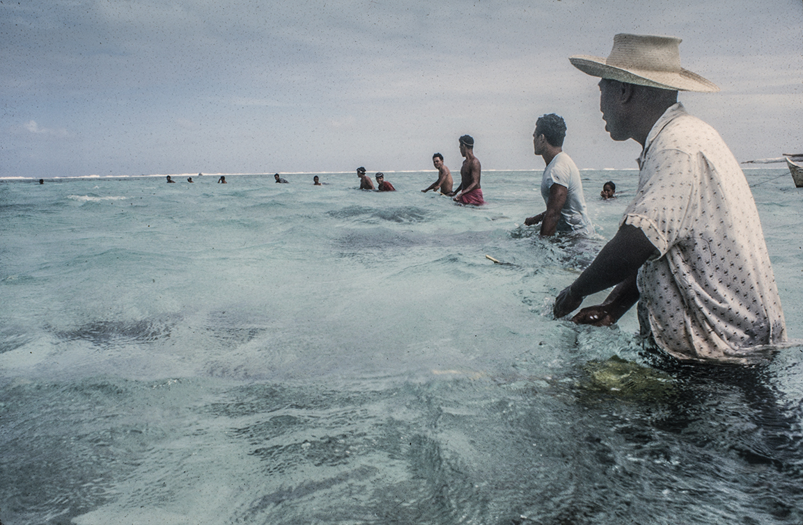 3155-16.jpg
Surround continues : Kapinga Fish Surround : Clayton Price Photographer