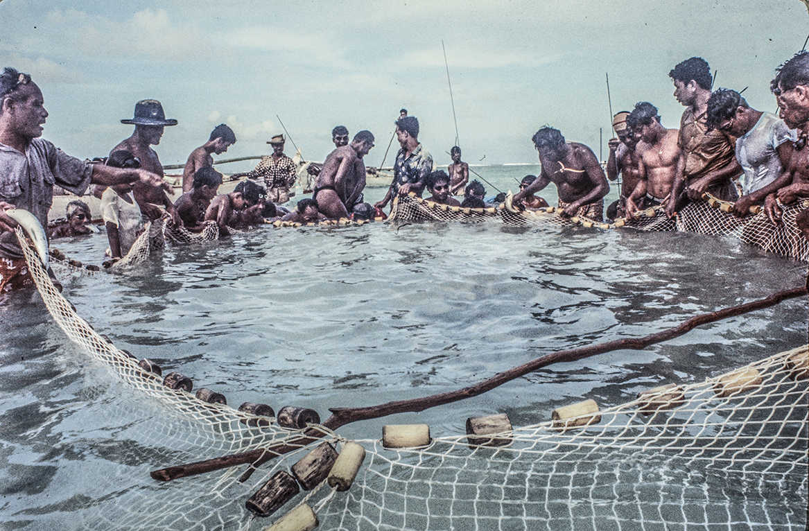 3156-4.jpg
Tightened circle with fish forced towards net. Escaping fish-speared. : Kapinga Fish Surround : Clayton Price Photographer