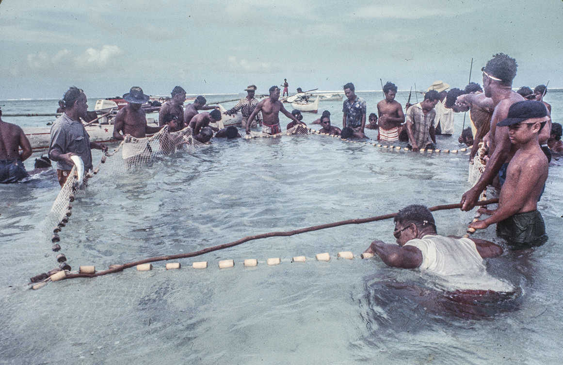 3156-9.jpg
Keeping fish in net : Kapinga Fish Surround : Clayton Price Photographer