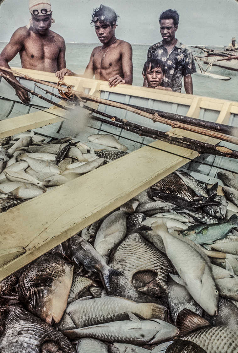 3156-16.jpg
Viewing their hard work : Kapinga Fish Surround : Clayton Price Photographer