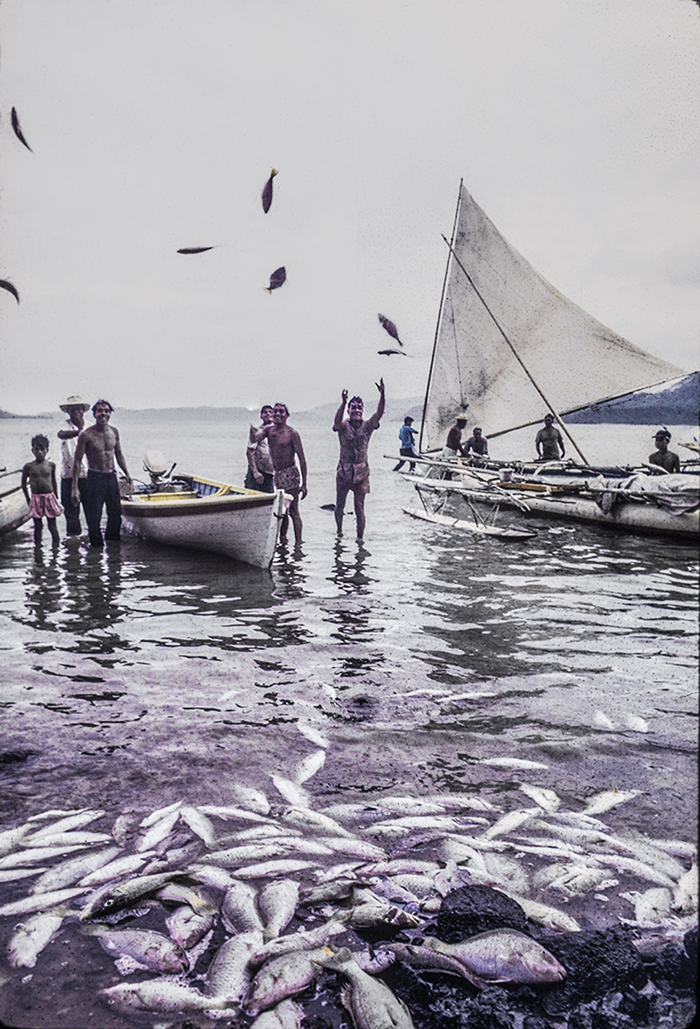 3157-3.jpg
getting fish ashore in many ways : Kapinga Fish Surround : Clayton Price Photographer