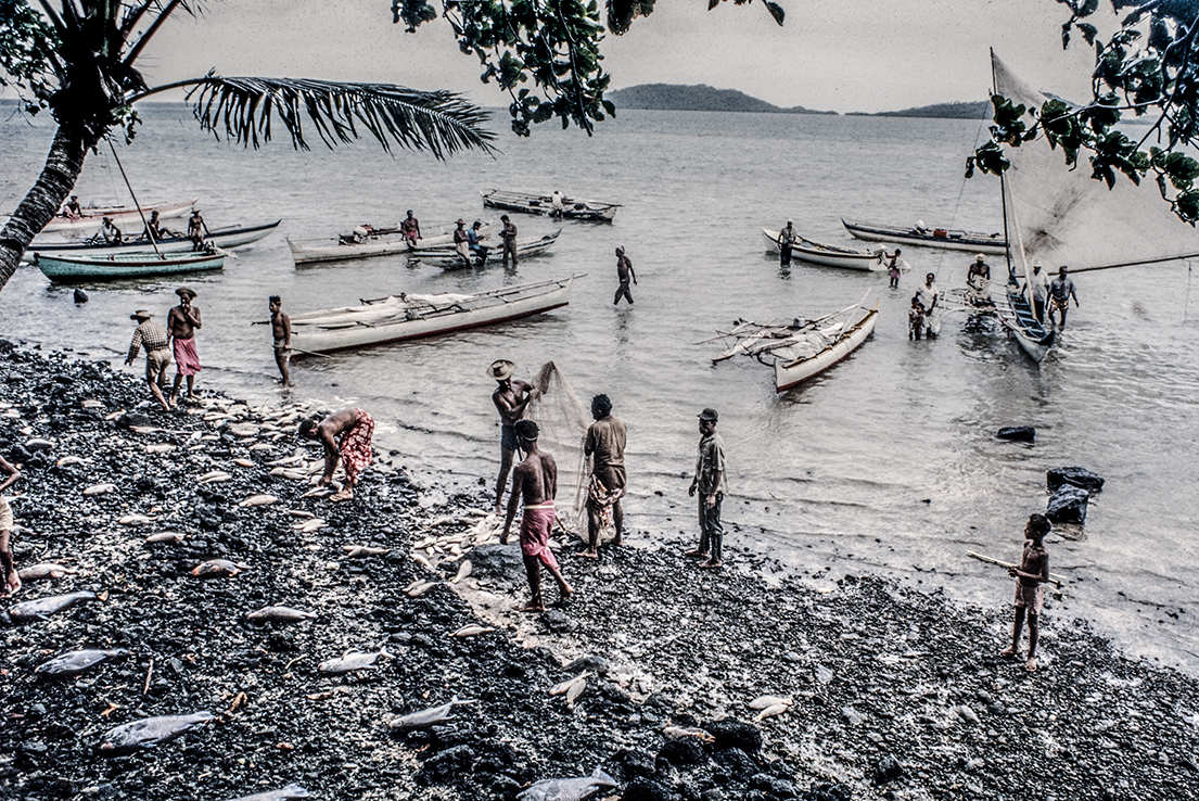 3157-11.jpg
Unloading process continues. : Kapinga Fish Surround : Clayton Price Photographer