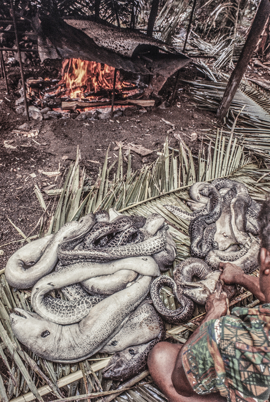 3146-18.jpg
Eels are ready to grill! : Kapinga Village : Clayton Price Photographer