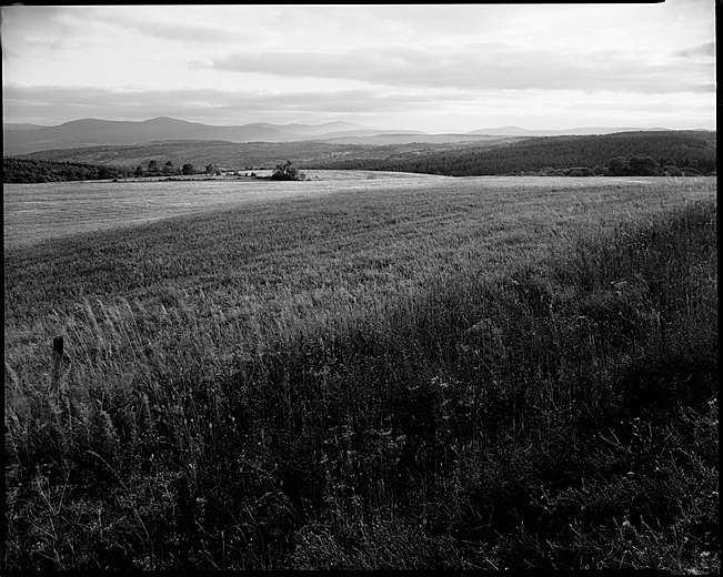 Catskill Farm II : Rural Aspects : Clayton Price Photographer