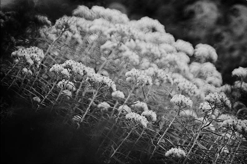 Appalachian Trail, Maine : Rural Aspects : Clayton Price Photographer