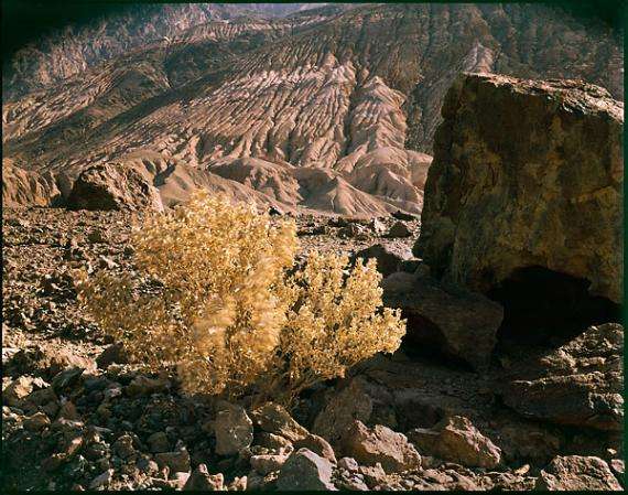 Death Valley : Rural Aspects : Clayton Price Photographer